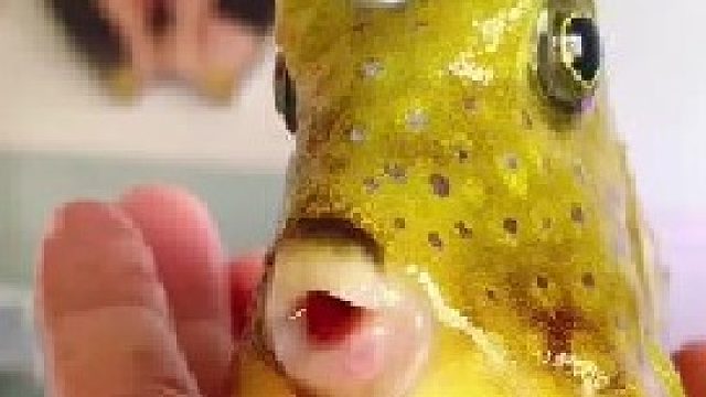 一顿操作猛如虎定睛一看还活着！