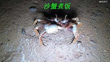 阿平赶海经验真丰富，连沙蟹在不在家都能看得出来，一挖一个准