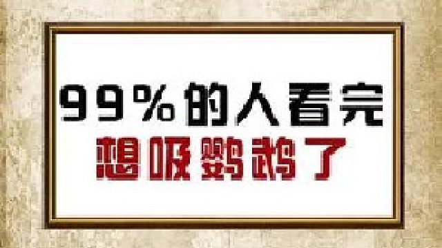 成精的鹦鹉见过吗？看了就让你想吸鹦鹉！！