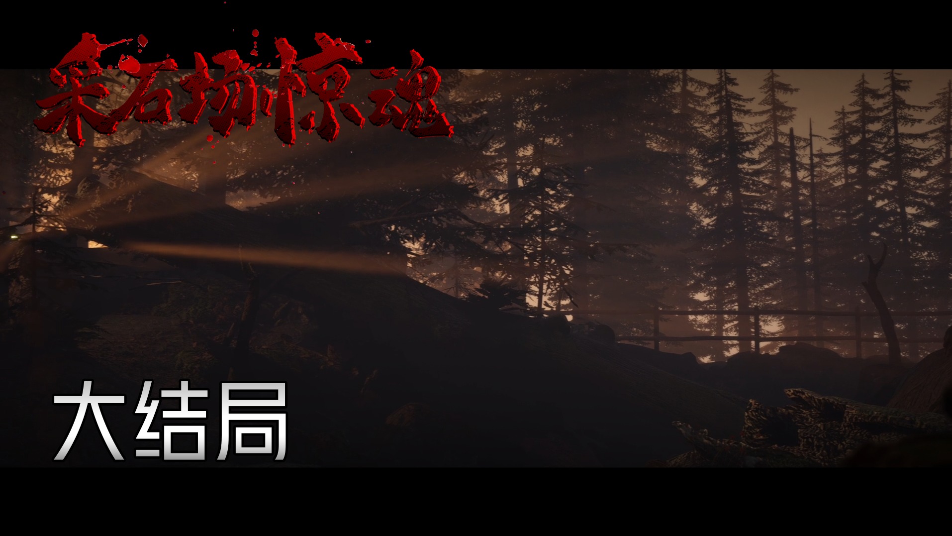 欢迎来到采石场惊魂实况的直播间