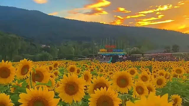 不断开悟自我生活才是生活自我也才是自我过的积极是为了更好的生活活的糊涂是为了愉悦的快