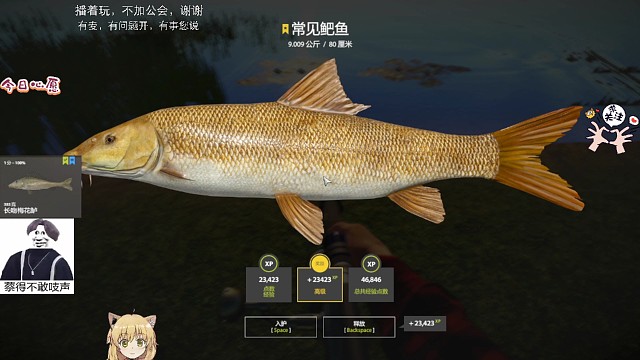 18图梅湖渔夫之星常见鲃鱼