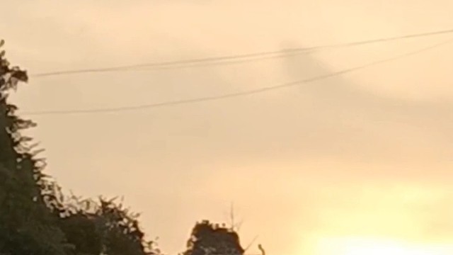 要做我的小宝贝嘛