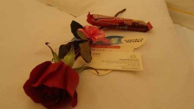 萌新上路，是否愿意与我一起成长。-片段2