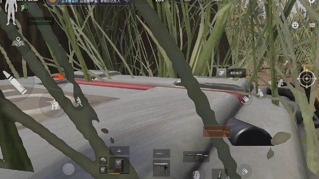 半装肥肥撤离中