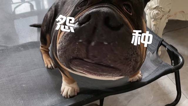 谢谢，有被笑到