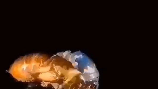 新（心）的蜕变