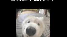 #一念逍遙 #一念逍遙仙界開啟 這個秘密你們肯定不知道吧！