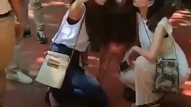 猩猩为何转身离去，不带一丝留恋