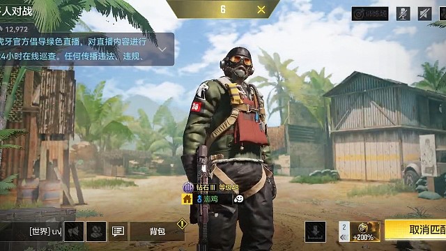 啥也不是，求人带飞