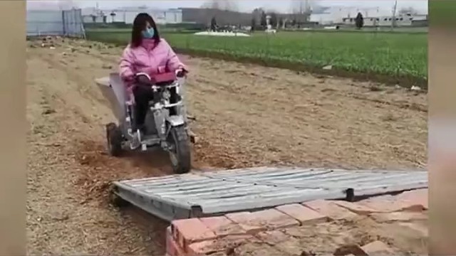 交通安全第一条