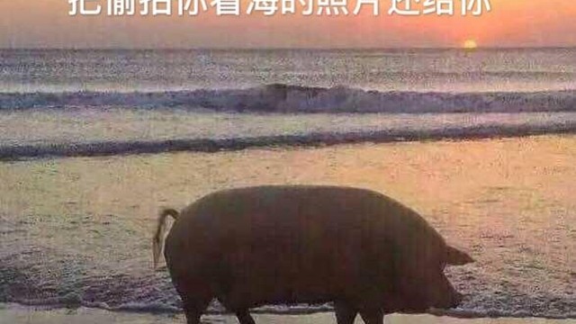 等到下一个天亮，把偷拍我的照片送我好吗？