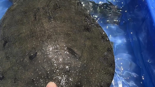 喜欢的点点关注哦