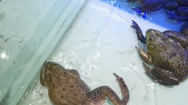 我今天我还真是长见识了