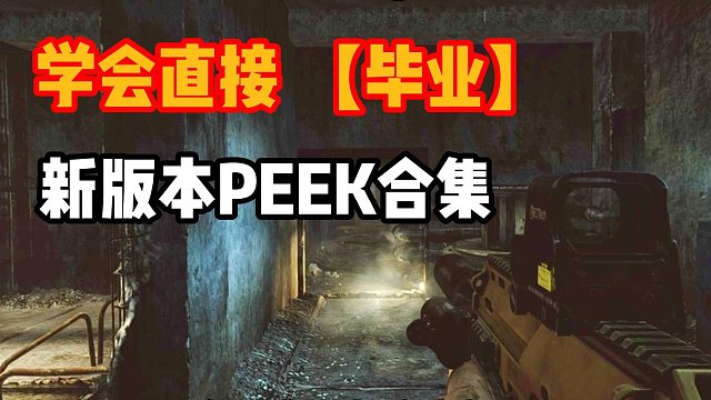 新版本PEEK教学合集  逃离塔科夫