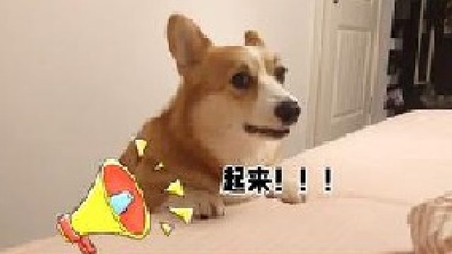 叫醒服务开始！哈？怎么全部失败呀？