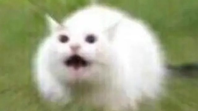 卒卒战神小场面