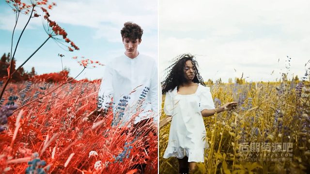 Luts预设 50组2022新品婚礼MV影片风格化调色预设 Wedding LUTs