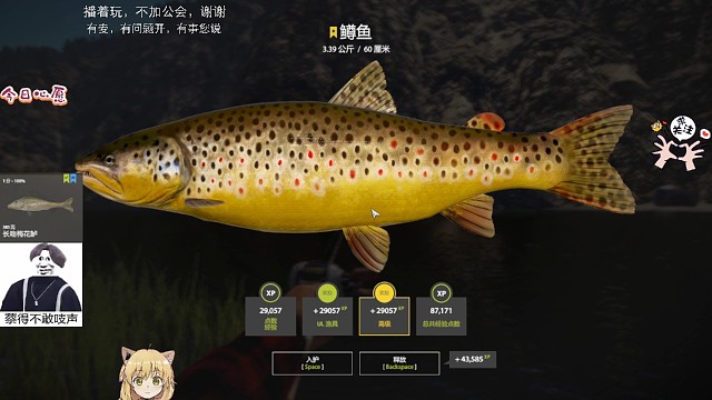 白河渔夫之星鳟鱼