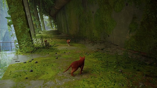 stray精品游戲體驗
