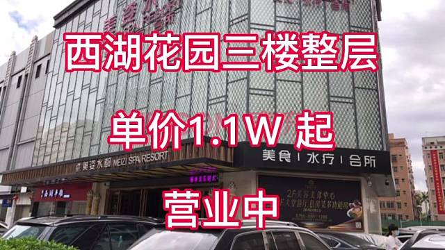 罗湖美姿水都单价1.1w起拍