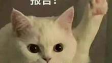男人的快樂有多簡單