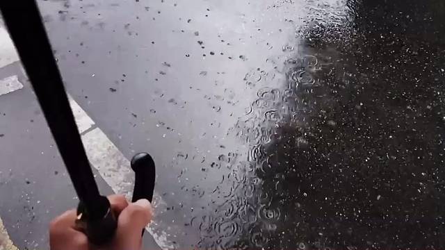 “葱姜蒜味的西瓜”