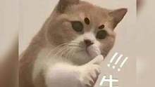 總覺得有樓下連滾帶爬沖向樂器的感覺