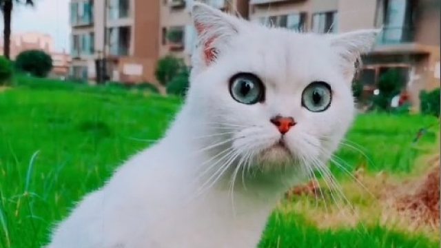 别让手机偷走你周围的风景啦！放下手机多看看我！！