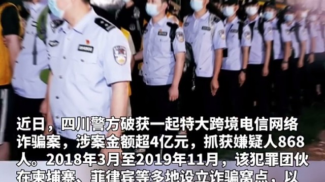 网络诈骗，电信诈骗，杀猪盘，法律援助