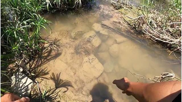 好不容易碰到的大补之物跑了