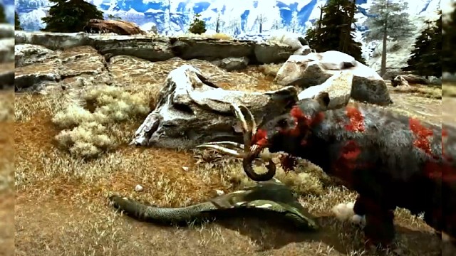 眼睛王蛇和犀牛大决斗你们猜谁会赢呢？