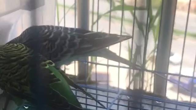 艰苦且平淡，艰苦中的快乐