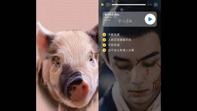 天若无道