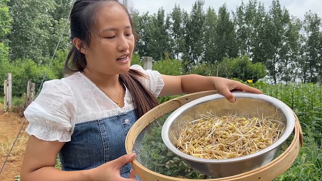 媳妇种一片黄豆芽，3天后收获一盆子，回家做一顿蒸面条，真好吃