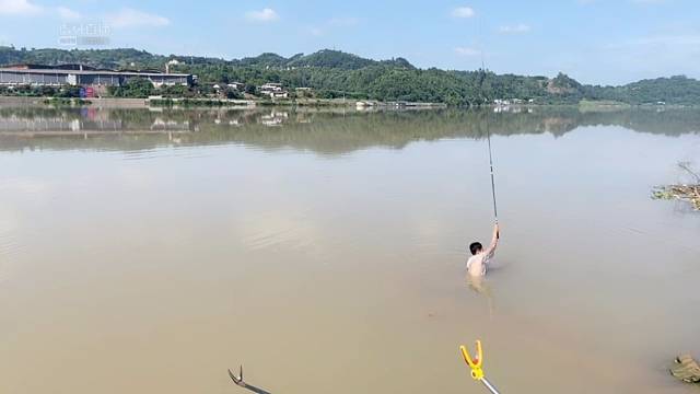 钓鱼被迫下水