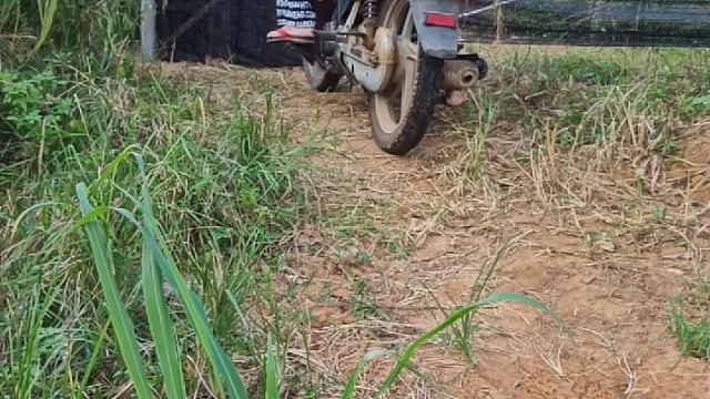 把眼光留给风光，把体重留给美食