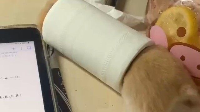 真的就一个不注意…………