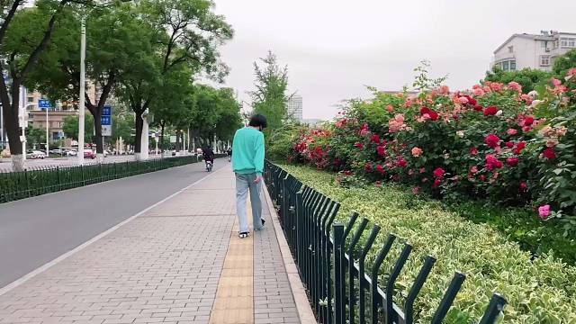 看海就是现在魏鹏飞等天蓝了再去看海未现初识龙之疯狂的青春龙虎火拼时速灿胜飞鹏大将军不止天一陪你去四2