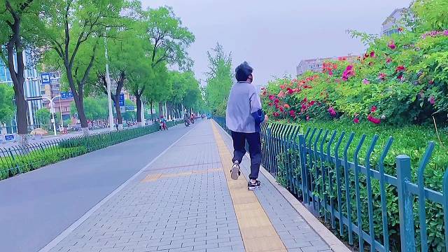 看海就是现在魏鹏飞等天蓝了再去看海未现初识龙之疯狂的青春龙虎火拼时速灿胜飞鹏大将军不止天一陪你去四9