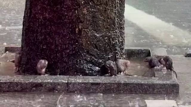 先生您好，我们这里公共澡堂也是不允许拍照的，麻烦您删除一下