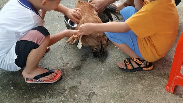 等你厂大了给你看