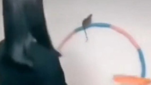 猜猜老鼠当时怎么想的