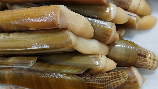 大退潮赶海，小伙徒手挖沙抓蛏王，感觉一年能练成“铁砂掌”