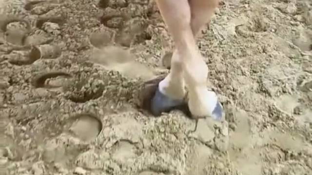 第一次看见活的旋转的木马[开心]