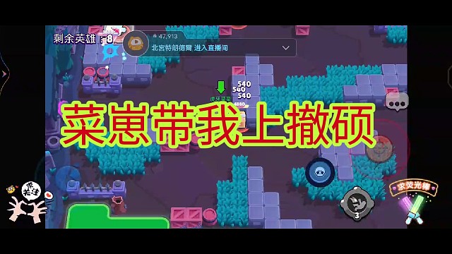 菜崽带我上撤硕