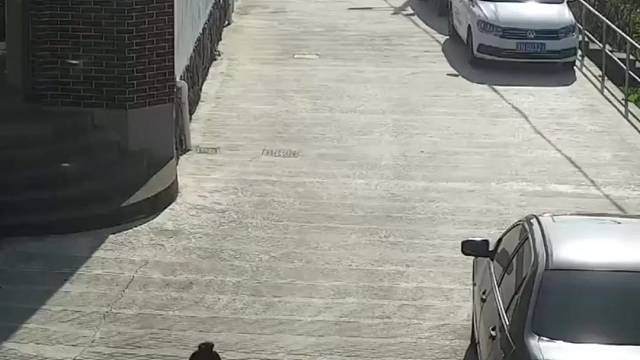 骑车还玩手机，现在这种人太多了，走在外面随时都要小心这种人，无语