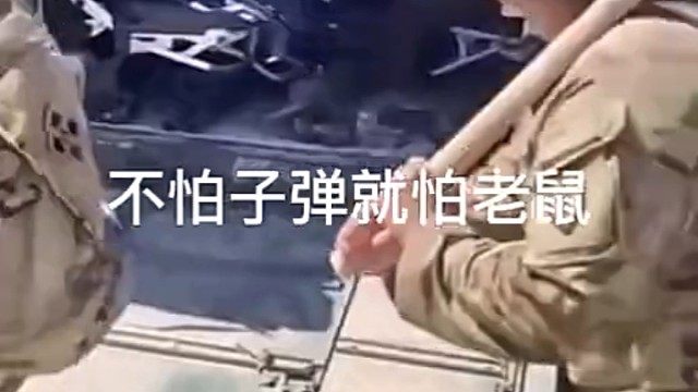 网友:老鼠有啥好怕的啊老外:妈的，这老鼠谁不害怕?