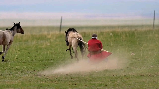 这才是限量版的“马沙拉地”