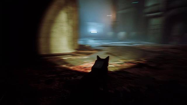 stray迷失猫猫大战脓包怪